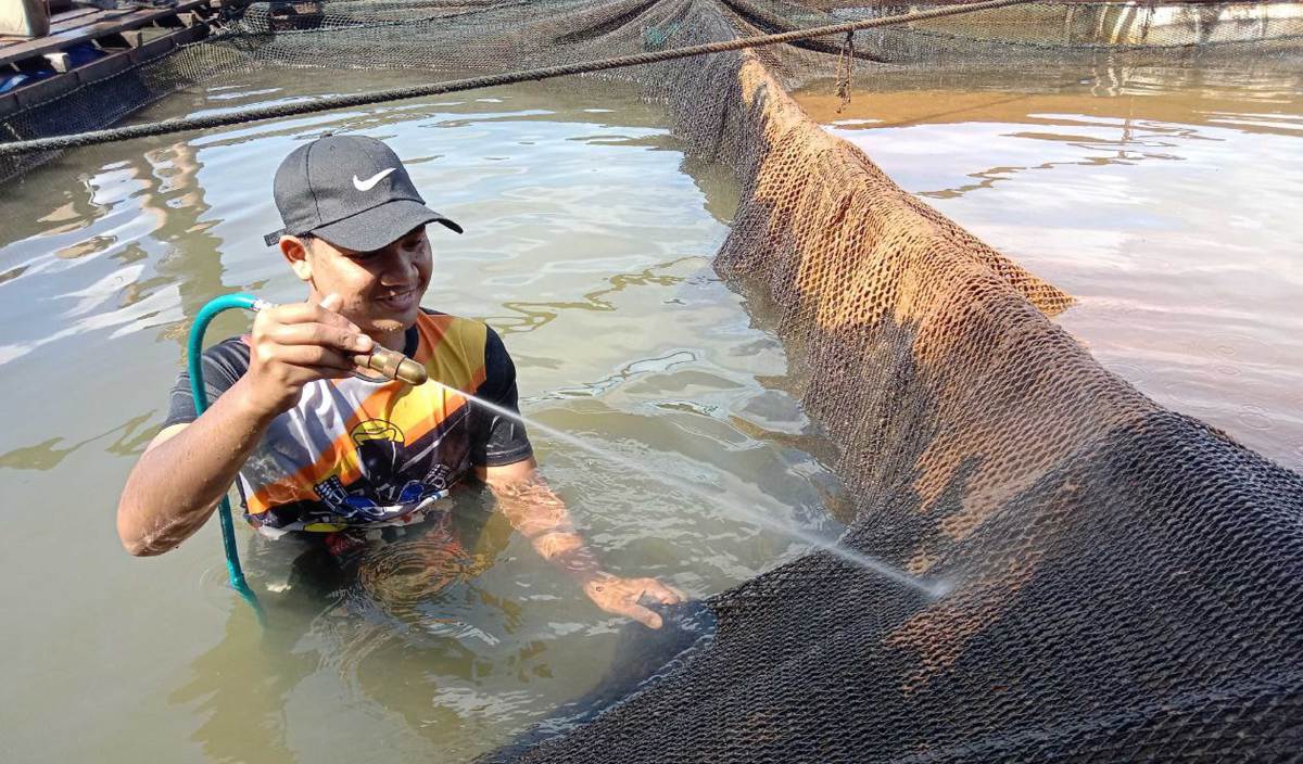 SEORANG penternak ikan sangkar sedang mencuci pukat sambil berpaut pada tali yang diikat pada sangkar. FOTO Nazdy Harun.