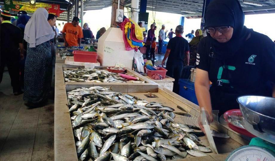 PENDARATAN ikan temenung yang banyak  menyebabkan harga ikan itu dijual dengan harga serendah RM2 hingga RM5 sekilogram di pasar nelayan Seberang Kota dan Kubang Rotan, Alor Setar.FOTO Noorazura Abdul Rahman