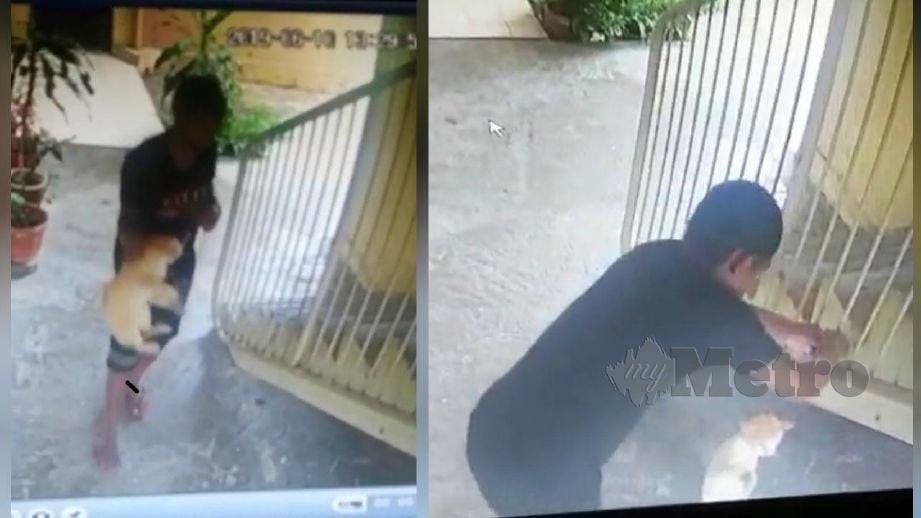 PETIKAN rakaman CCTV menunjukkan seorang lelaki memegang kucing berkenaan sebelum mengikat leher haiwan terbabit pada tangga. FOTO ihsan Asrul