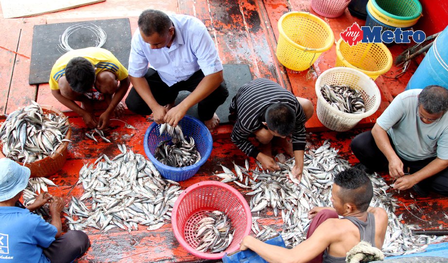 NELAYAN membuat persiapan menyiapkan umpan ikan di LKIM Kuala Besar. FOTO Nik Abdullah Nik Omar