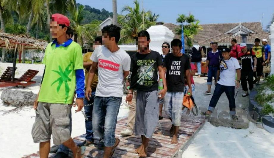 LAPAN PATI yang ditahan dalam Ops Bersepadu di Pulau Lang Tengah, Setiu. FOTO ihsan JIM Terengganu. 