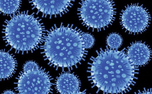 Image result for virus influenza
