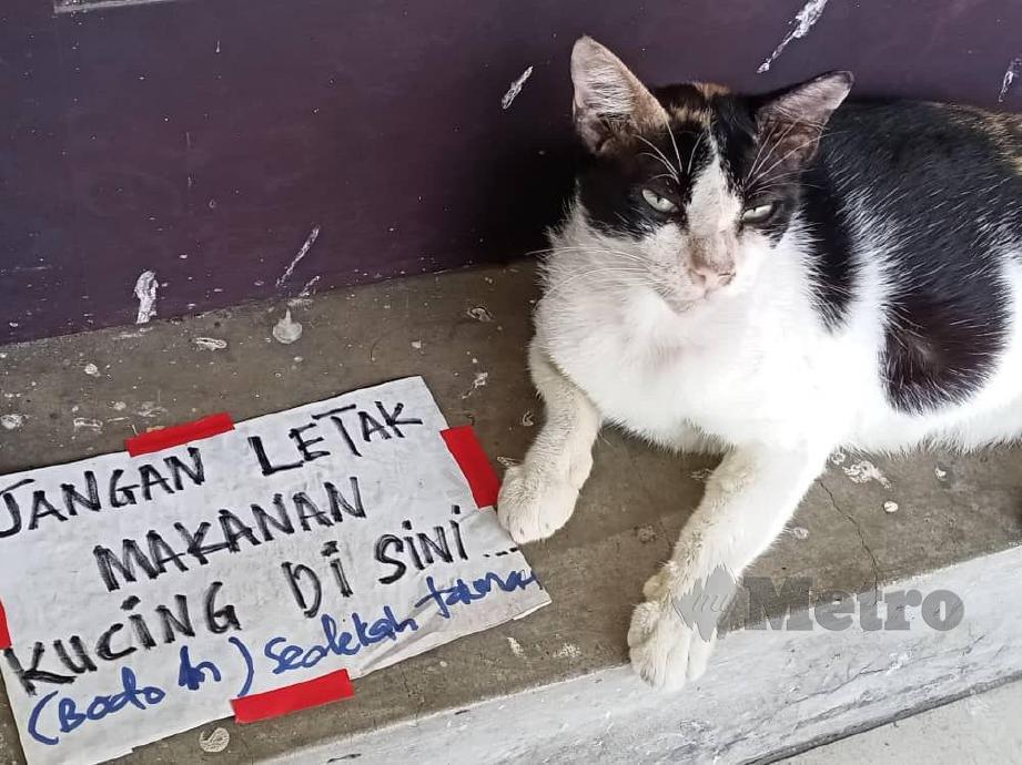GAMBAR kucing di sisi nota peringatan. FOTO ihsan Nur Shafiqah Zareen Nazril 