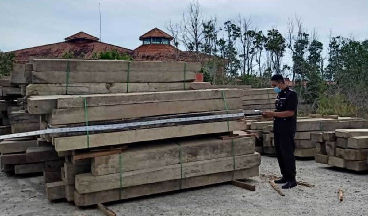 Rampas kayu  jati dari Myanmar Harian Metro