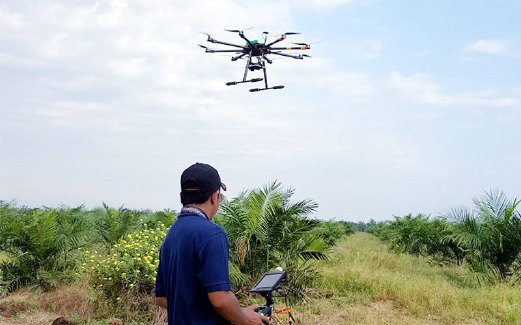 PROJEK penyelidikan menggunakan ‘drone’ bagi mengurus ladang sawit.
