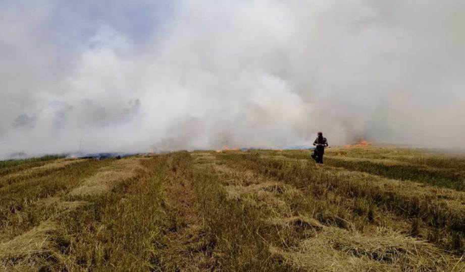 KAWASAN jerami yang terbakar di Kampung Alor Merah, Jalan Sekolah, Alor Setar membabitkan keluasan sembilan hektar. FOTO Ihsan bomba