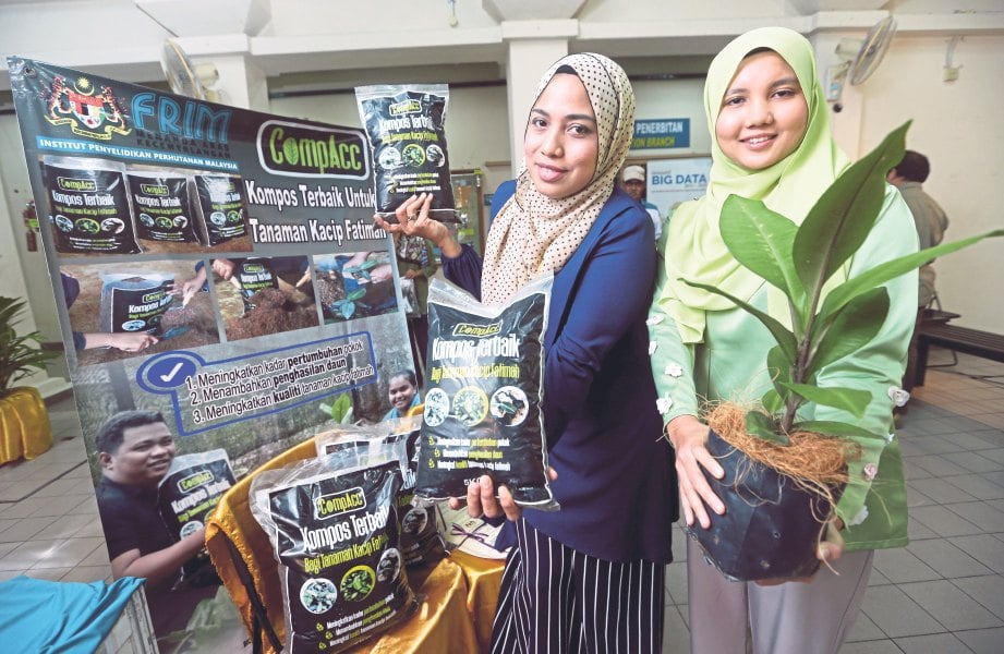 DR Farah Fazwa (kiri) dan Syafiqah Nabilah menunjukkan produk kompos CompAcc dan pokok kacip fatimah.
