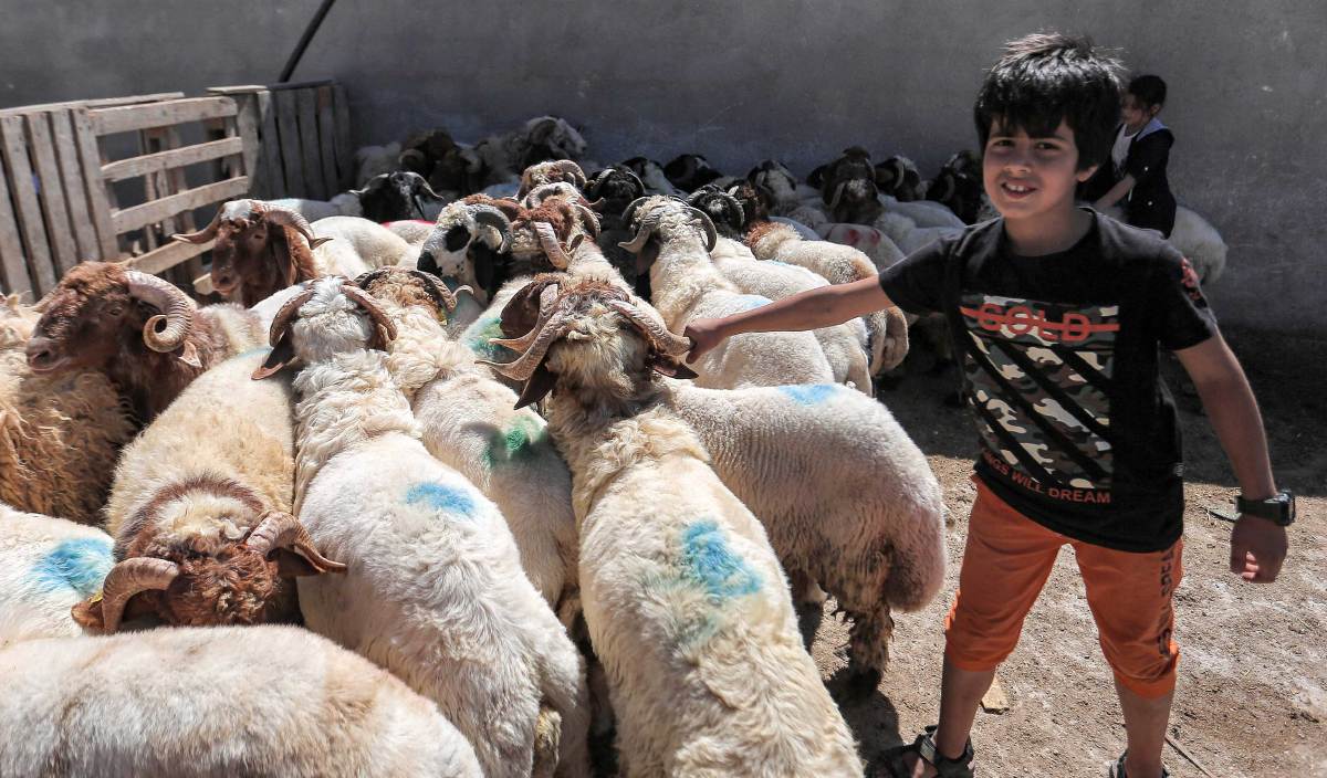 UMAT Islam dituntut melakukan ibadah korban menerusi menyembelih haiwan ternakan dan berkongsi rezeki dengan golongan yang lebih memerlukan. FOTO Arkib AFP