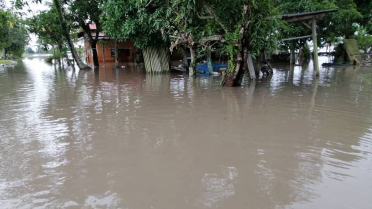 Kawasan Kampung Tok Pauh yang dipenuhi air akibat banjir menyebabkan penduduk tidak dapat keluar rumah. FOTO IHSAN ABU BAKAR