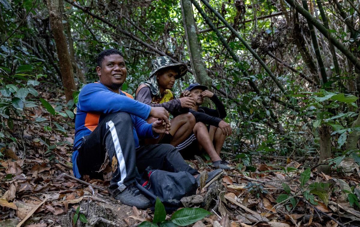 BEREHAT seketika sebelum membawa buluh lemang yang sudah ditebang  di hutan sekitar Kampung Manggis, Pos Yum, Perak. 