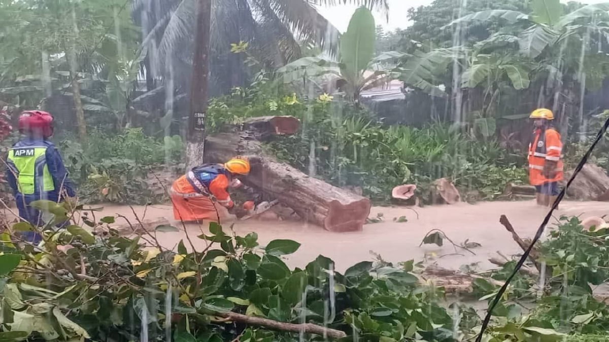 ANTARA kawasan yang dinaiki air dan pokok tumbang sekitar Langkawi. FOTO Ihsan APM