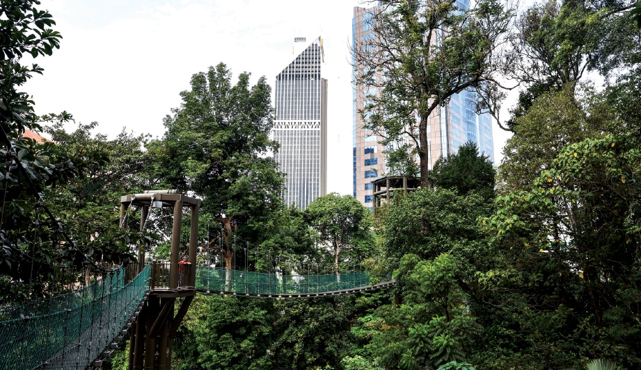 KEINDAHAN hutan tertua Malaysia yang boleh dinikmati di tengah ibu kota.
