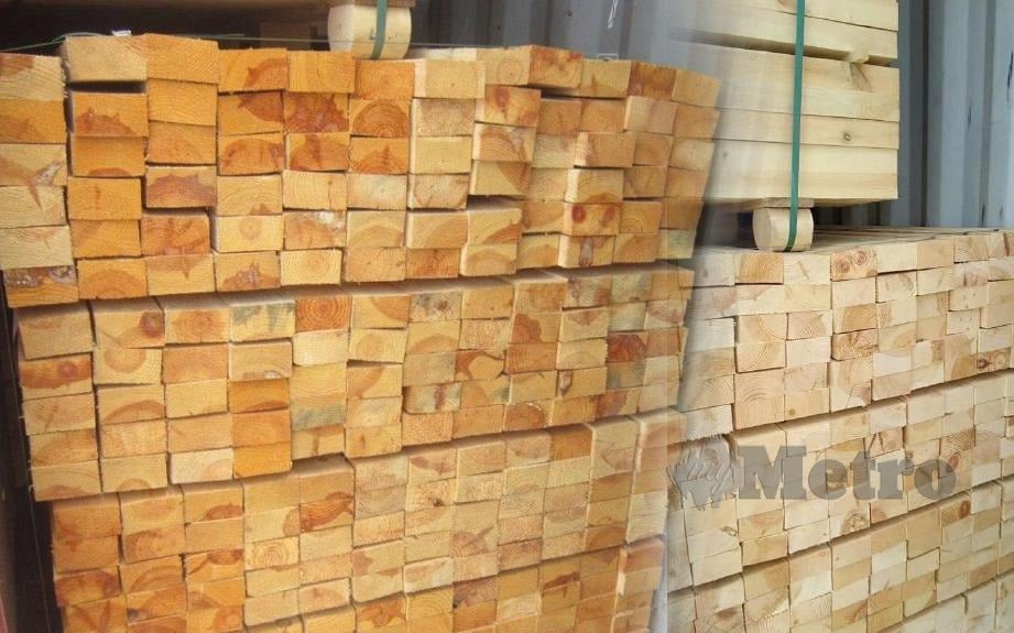 MAQIS Pulau Pinang merampas kayu pine bernilai RM338,503.82 ketika mengadakan pemeriksaan di Terminal Kontena Butterworth Utara (NBCT). FOTO Ihsan MAQIS Pulau Pinang