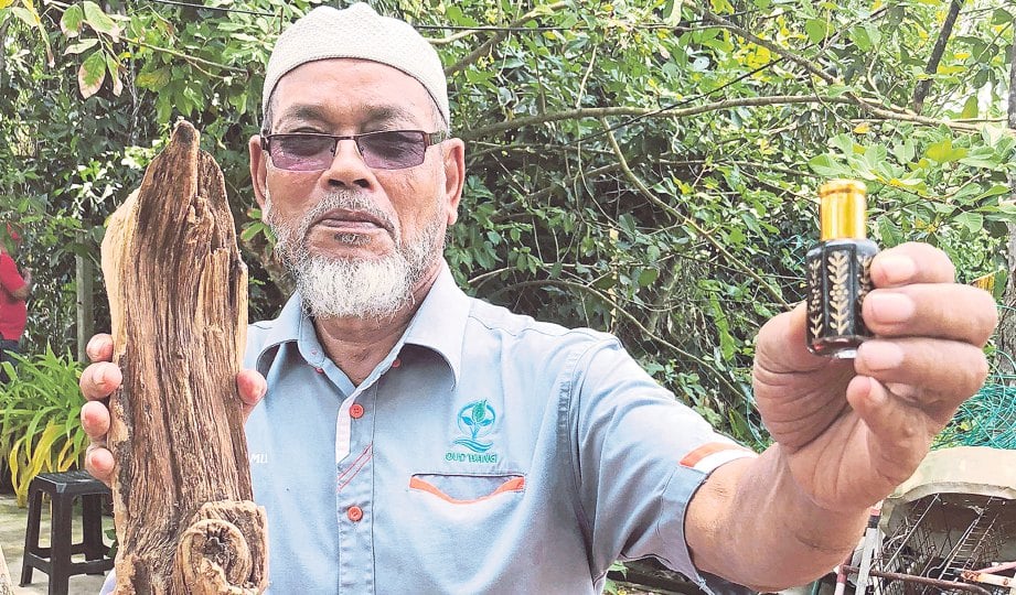 PEMILIK The One Gaharu Sdn Bhd, Ramli Harun menunjukkan kayu gaharu dan pati minyak wangi.