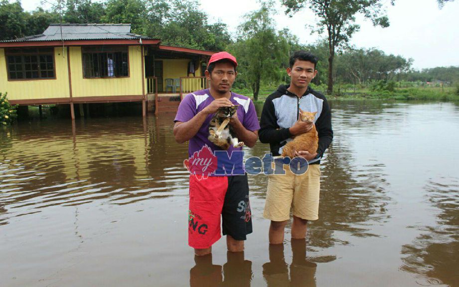 Mohd Nur Szawan (kiri) dan sepupunya, Mohd Nur Izazzudin menyelamatkan kucing jiran yang terperangkap dalam rumah akibat banjir. FOTO Ahmad Ismail