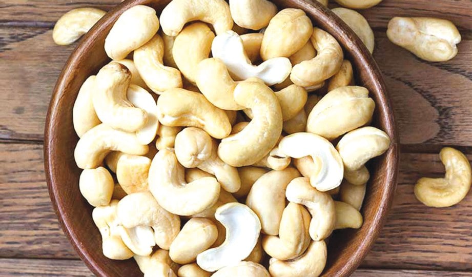 Buah Gajus In English - Dwarf cashew nut trees - Something random i