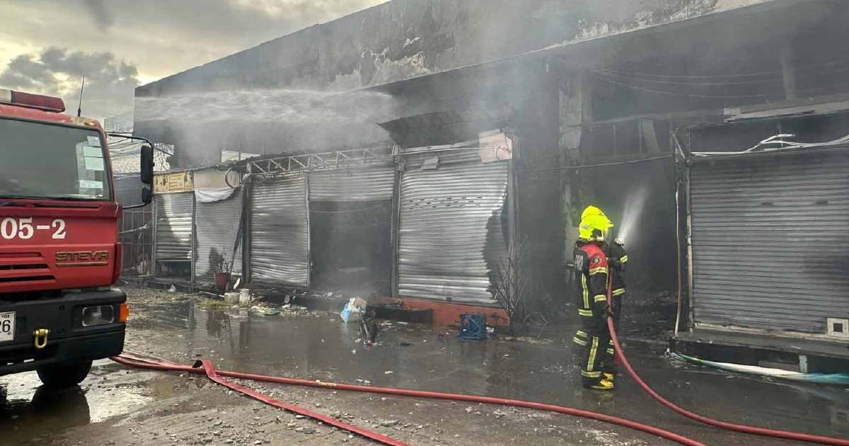 Ratusan haiwan mati dalam kebakaran di Pasar Chatuchak