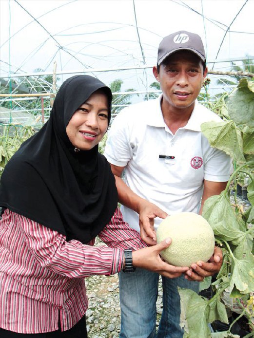 RUZAIMI dan Mohd Solihen memegang buah rock melon.