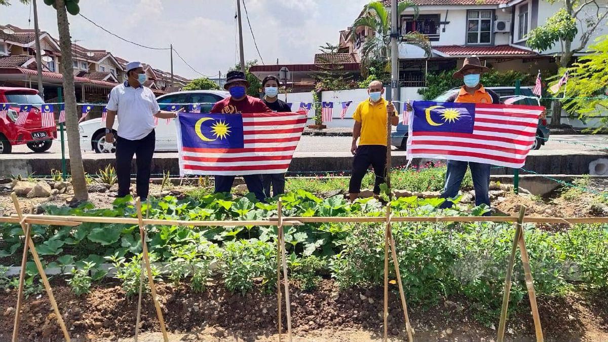 Penduduk Taman Sutera 2, Seberang Jaya menghias kebun sayur diusahakan mereka dengan jalur gemilang sebagai tanda cintakan negara. FOTO NUR IZZATI MOHAMAD