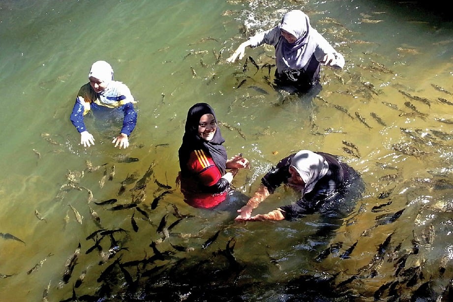 PELBAGAI jenis flora di Santuari Ikan Sungai Chiling berikan terapi minda. FOTO Abd Rahim Rahmat