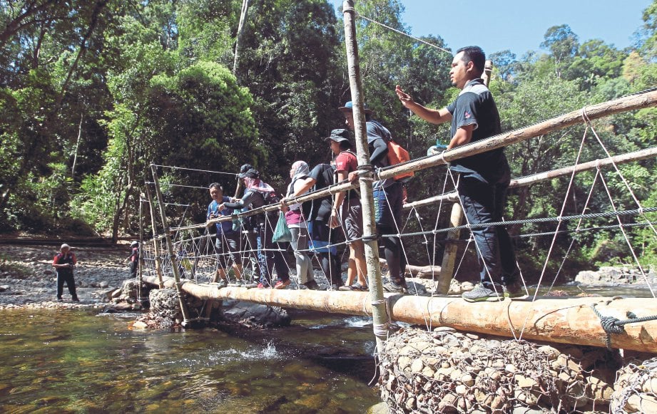 JAMBATAN kayu yang dibuat untuk merentasi anak sungai memudahkan pergerakan pengunjung. FOTO Aswadi Alias