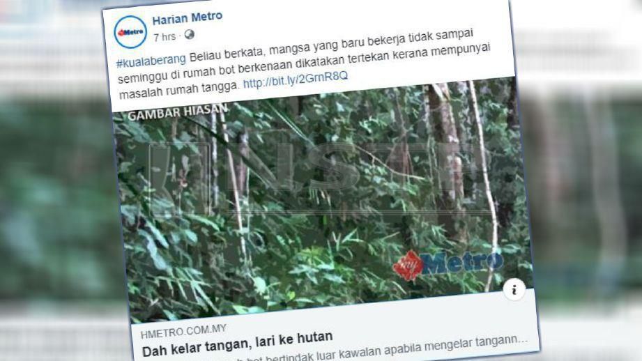 Laporan mengenai lelaki mengelar tangan dan menghilang diri ke hutan di laman web, Harian Metro