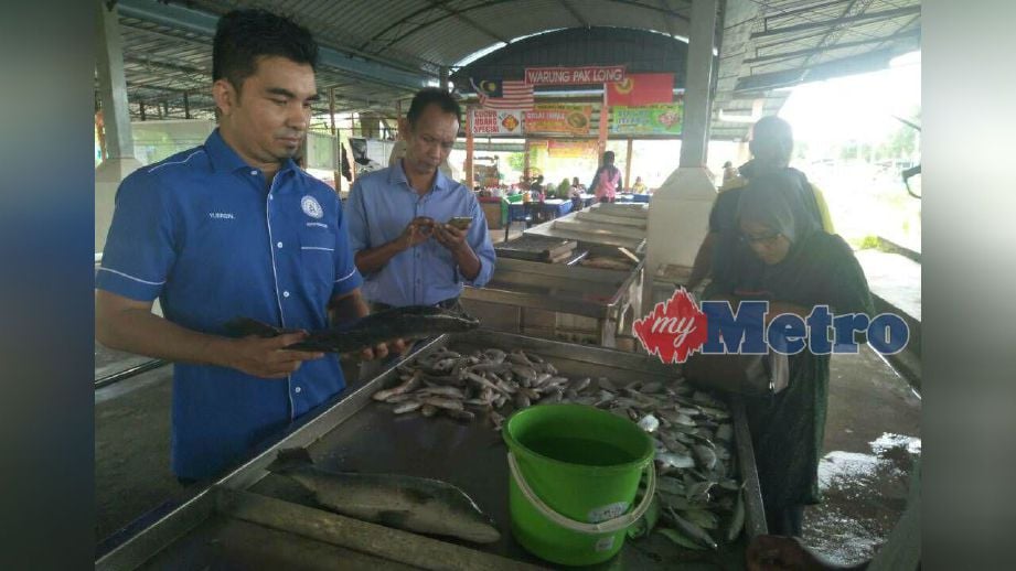 Mohd Yusrizal (kiri) melakukan tinjauan harga ikan di Pelantar Ikan Kampung Seberang Kota, Kuala Kedah, hari ini. FOTO Zuliaty Zulkiffli