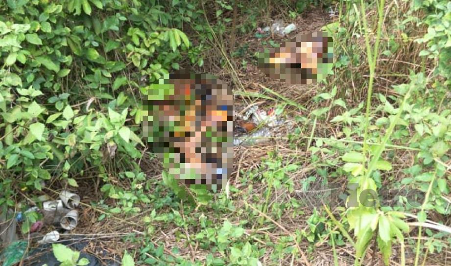 ANGGOTA badan manusia dikerat yang ditemui di dalam semak di Kampung Ladang, Krubong, Melaka, Khamis lalu. FOTO ihsan pembaca.