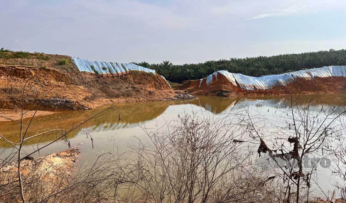 KEADAAN kolam ternakan pecah menyebabkan ribuan ikan arowana terlepas dan memasuki parit serta anak sungai. FOTO Alias Abd Rani