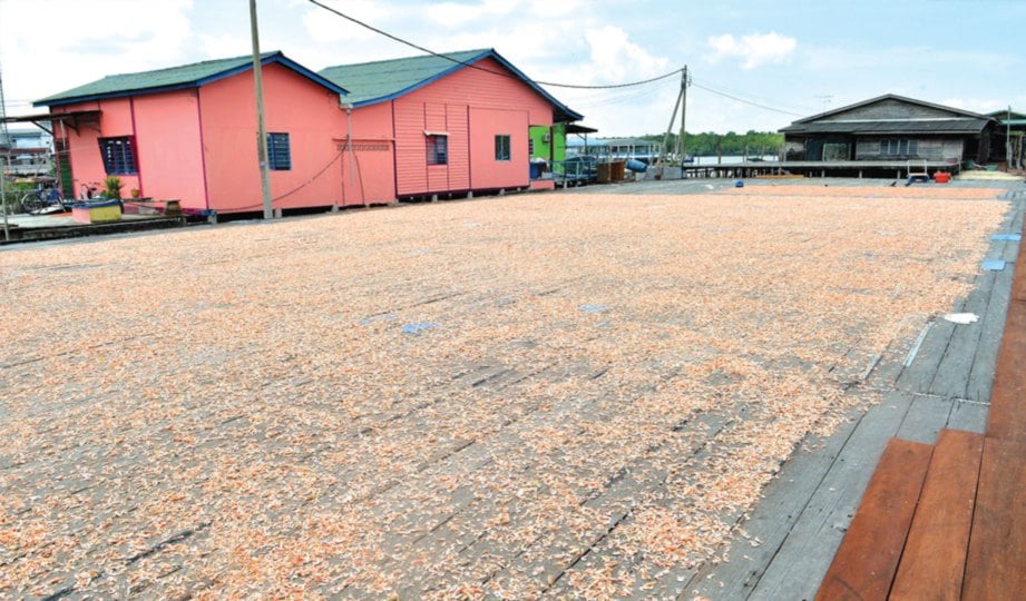 HAMPARAN udang kering yang dijemur menjadi tatapan sebaik tiba di kilang udang kering terbesar di pulau itu.