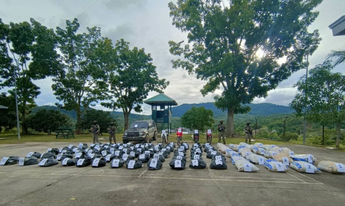 Sebanyak 1.3 tan daun ketum  yang dirampas pasukan ATM di sempadan negara di Padang Terap, kelmarin.Foto Ihsan ATM