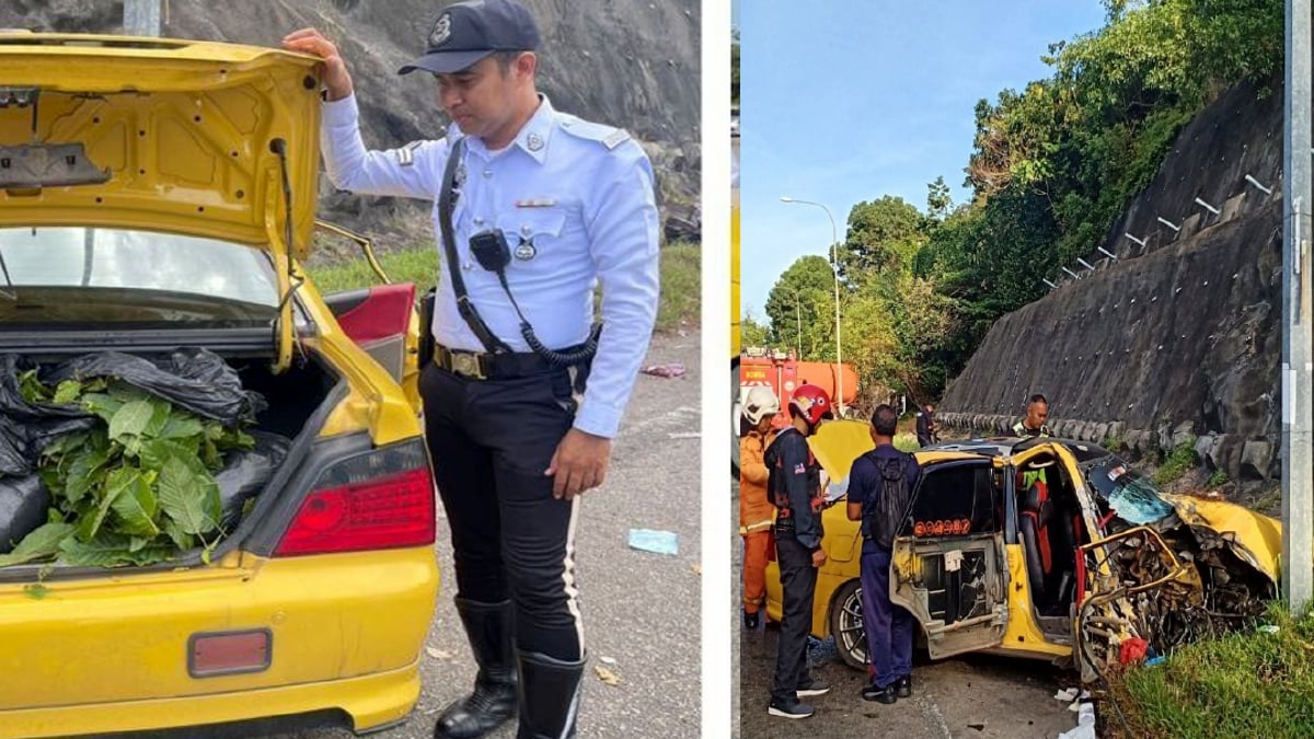 DAUN ketum yang ditemui di dalam sebuah kereta yang terbabit kemalangan di Jalan Bukit Putus, di sini, hai ini. FOTO Ihsan Polis