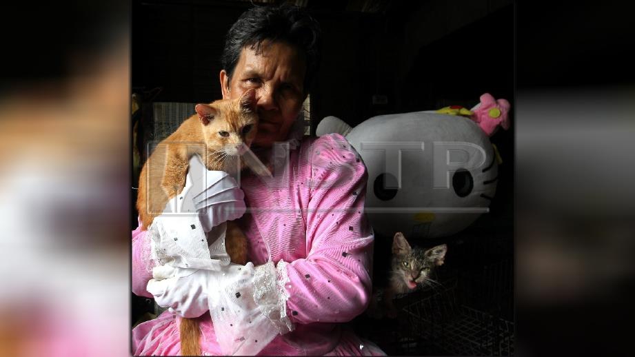 Siti Endon membelai kucing jagaannya di rumahnya di Kampung Tengah, Teluk Cempedak. FOTO Farizul Hafiz Awang