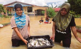 Ikan salai enak Sungai Pahang  Harian Metro