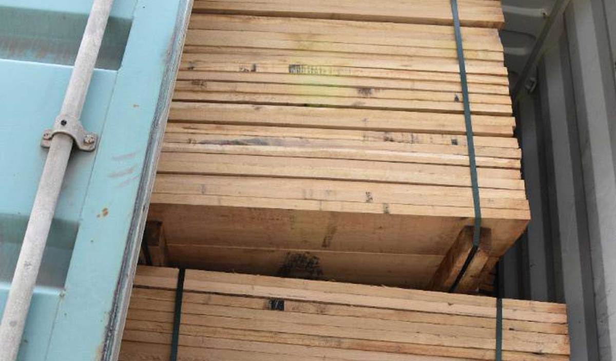 MAQIS Pulau Pinang merampas 83.966 meter kubik (MTQ) muatan kayu spesis Sawn Timber bernilai lebih RM500,000 dari Australia dan Hungary dalam pemeriksaan di Pelabuhan Pengkalan Kontena Butterworth Utara (NBCT)FOTO Ihsan MAQIS Pulau Pinang
