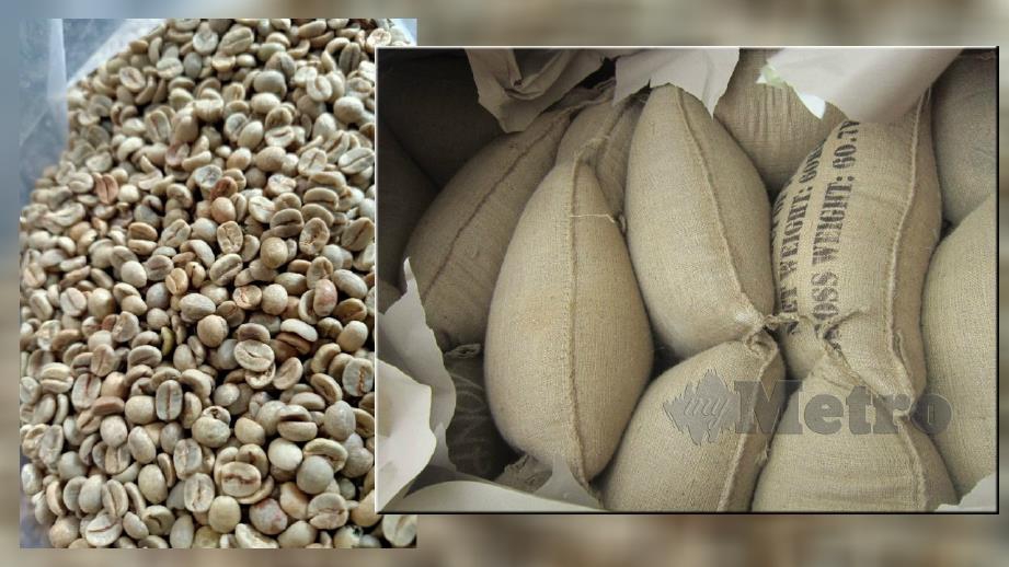 Biji kopi Arabica yang dipercaya dibawa dari Papua New Guinea disita MAQIS kerana tidak mematuhi syarat permit import di NBCT Butterworth pada Jumaat lalu. Foto ihsan MAQIS 
