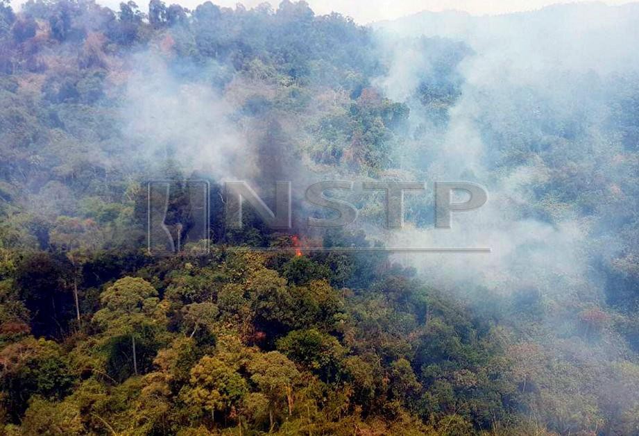 Kebakaran Hutan Simpan Gunung Korbu antara Pos Legap dan Pos Kuala Mu sudah berjaya dipadamkan hari ini. FOTO ihsan bomba