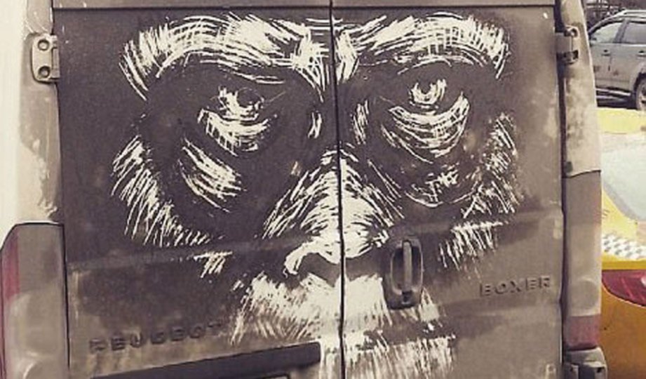 IMEJ wajah gorila yang menghiasi pintu belakang sebuah van.