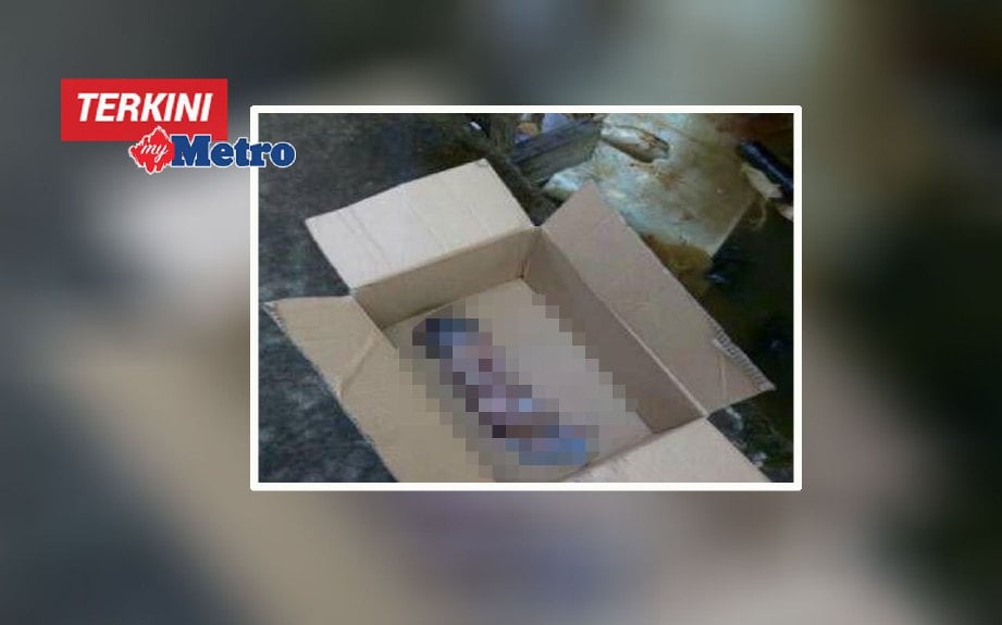 Mayat bayi lelaki yang ditinggalkan di dalam kotak di Kampung Air, Sandakan, hari ini. FOTO ihsan pembaca
