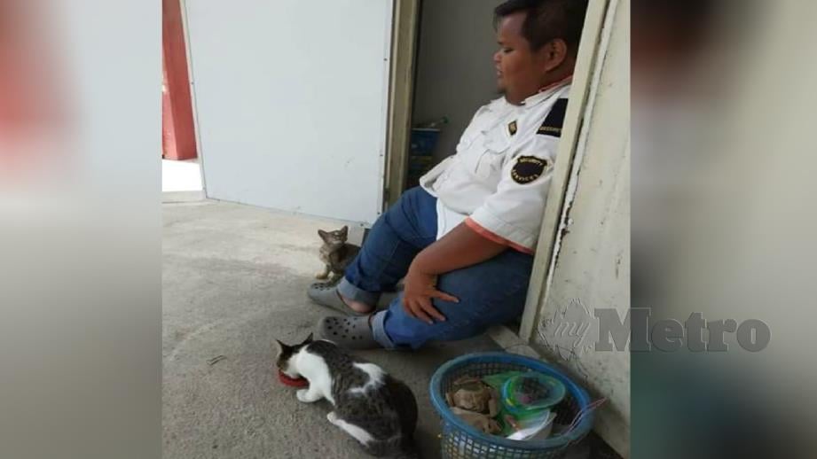 Tera sentiasa berkongsi rezeki dengan memberi makan kepada kucing di kawasan kabin berdekatan kilang di Kampung Selamat, Pelabuhan Kuantan. Foto Ihsan Tera Adnan   
