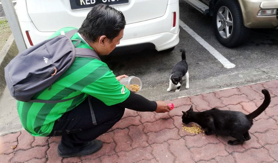 MOHD Azhar memberi makanan kepada kucing buangan di Plaza Tol Taman Rimba Templer.