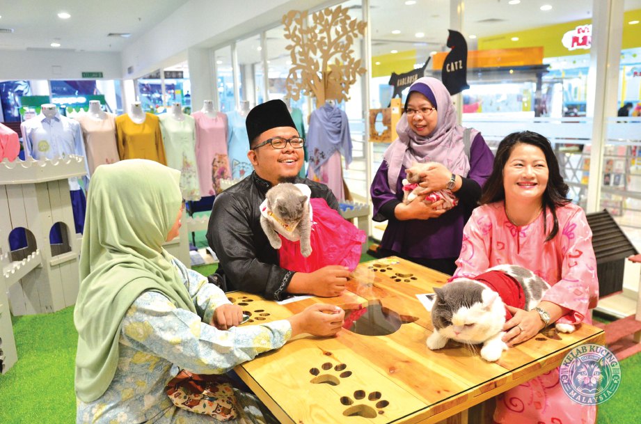AHLI Kelab Kucing Malaysia bersama kucing jalanan peliharaan mereka.