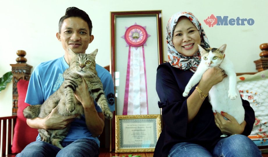 SHAHRIZAN (kiri) dan Rozita (kanan) bersama kucing peliharaannya di rumah mereka di Taman Kasa Heights. FOTO Khairunisah Lokman