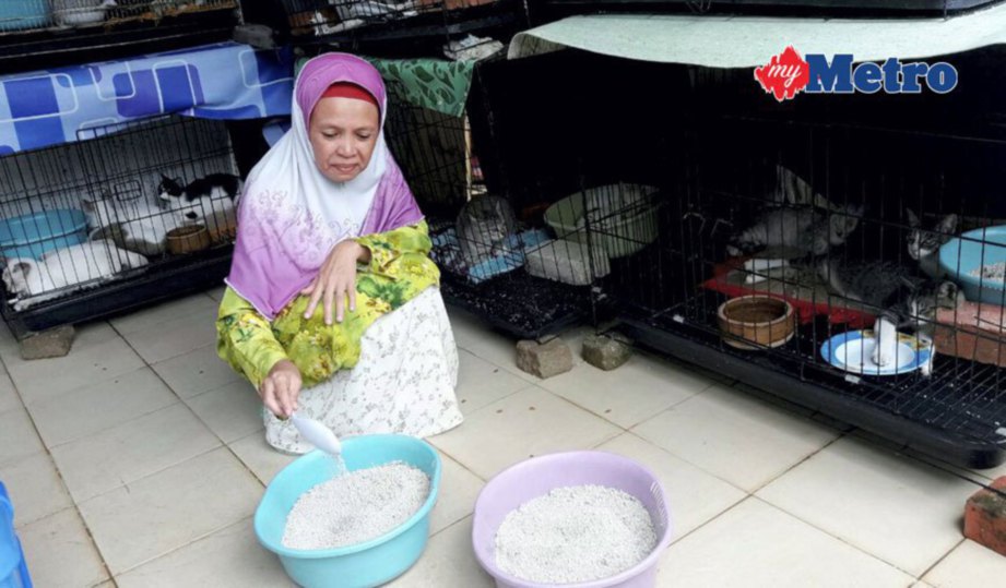 ROSELINA sedang menyediakan tempat najis kucing. FOTO Ahmad Rabiul Zulkifli. 