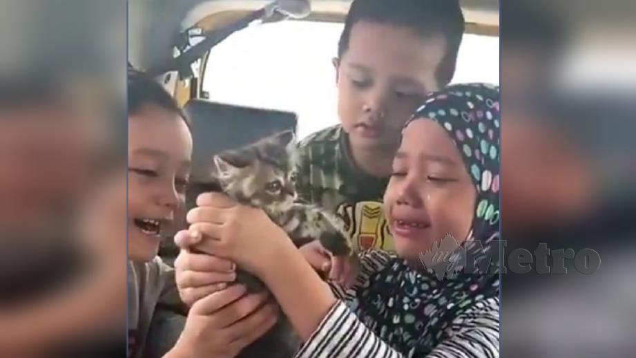 Nur Aysar Amni menangis kegembiraan selepas menerima hadiah kucing pemberian ibu bapanya. FOTO Ihsan Noryana Samsudin