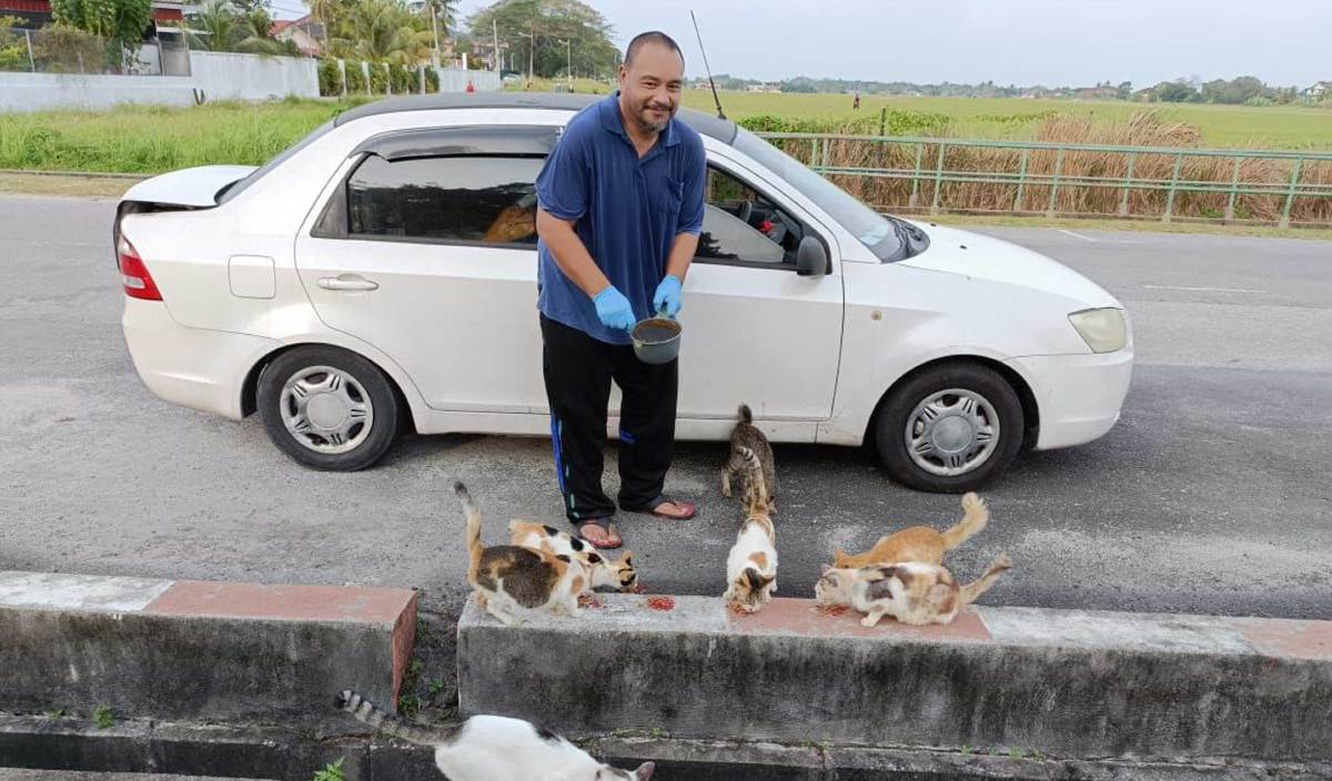 KHAIRIL Azhar memberi makan kepada lebih 150 kucing dan anjing jalanan di sekitar Sitiawan. FOTO Ihsan Khairil Azhar Khairuddin 