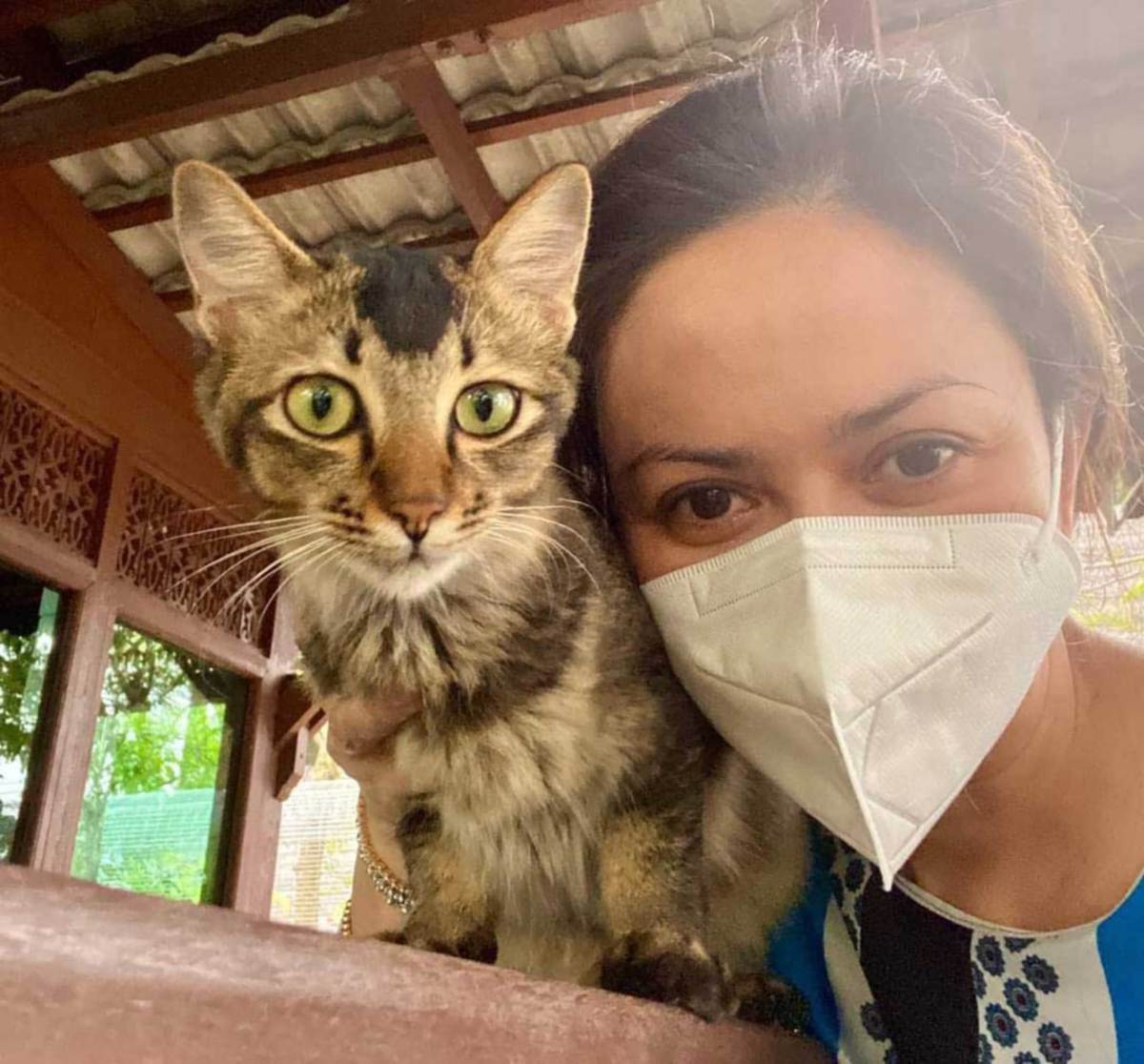KUCING betina yang diberi nama Jacopo ini antara kucing terbiar yang diselamatkan oleh Tengku Permaisuri Norashikin.FOTO Ihsan Selangor Royal Office