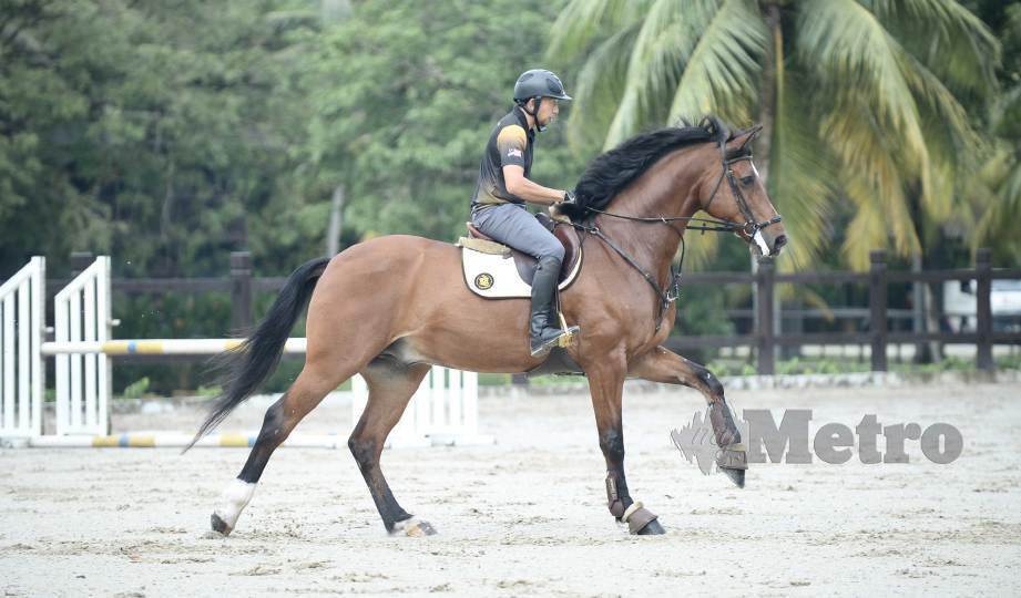 MOHD Qabil memiliki empat kuda untuk dua disiplin dalam kejohanan equestrian di Eropah. FOTO Khairul Azhar Ahmad