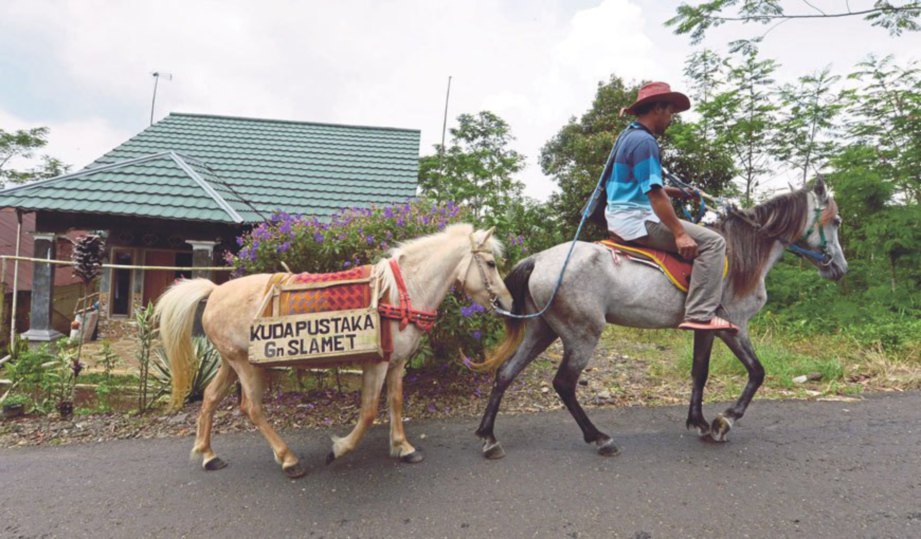 RIDWAN menunggang kudanya ketika dalam perjalanan ke kampung pedalaman di Serang.