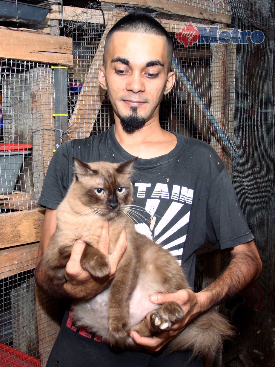 MOHD Feroz bersama kucing peliharaannya. FOTO Nik Abdullah Nik Omar